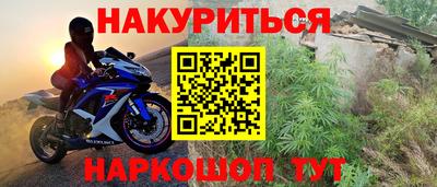 сатива Кунгур
