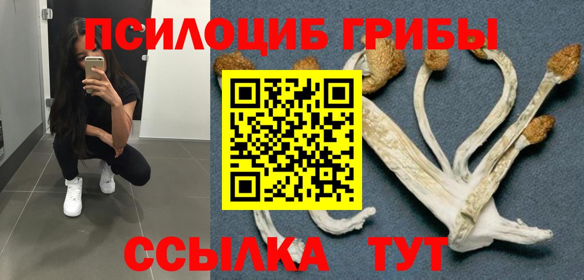 Галлюциногенные грибы мицелий Воронеж