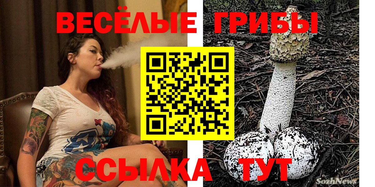 Воронеж  Псилоцибиновые грибы мухоморы  Вход с VPN 